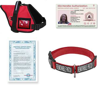All The ESA Gear
